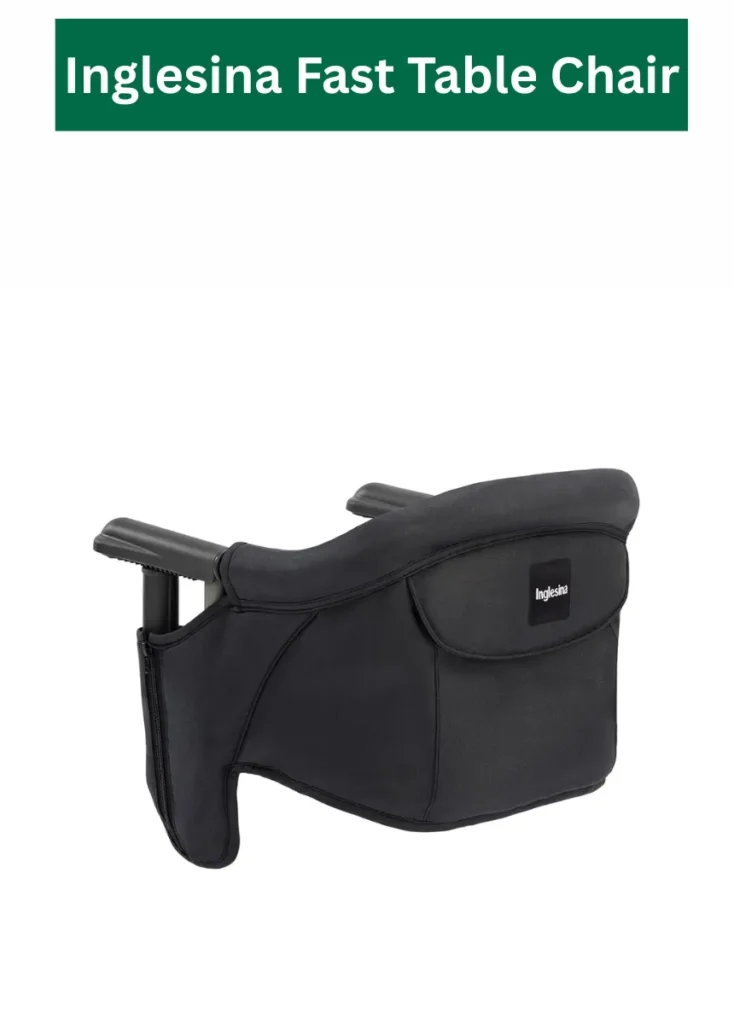 8 Best Newborn High Chairs Review 2025 7 Inglesina Fast Table Chair